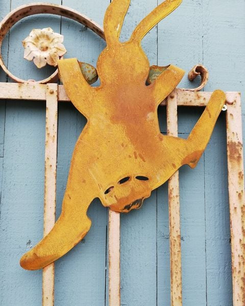 Lapin suspendu