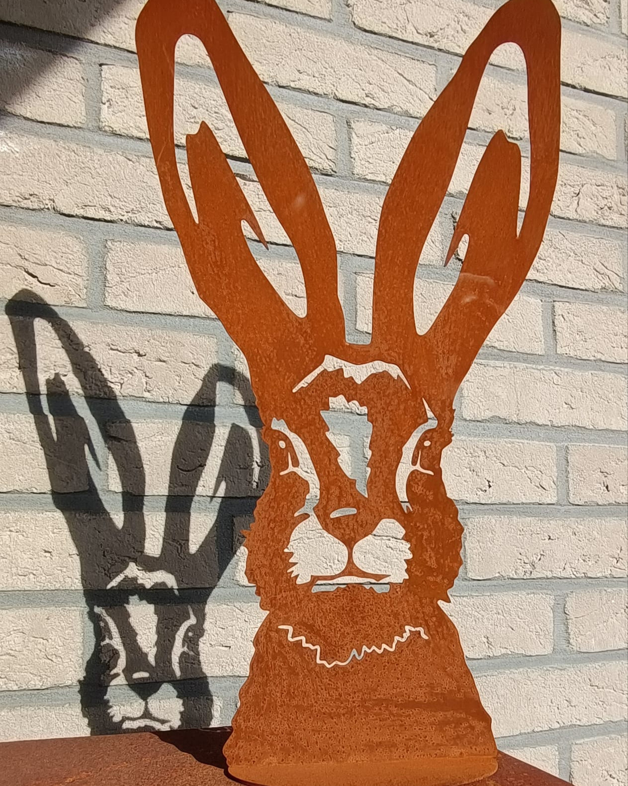 Lapin grandes oreilles